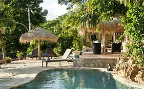 The Beach House